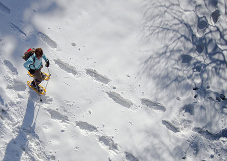 Snowshoeing in the National Park